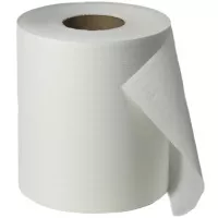 Fripa Handtuchpapier 1-lagig Packung mit 6 Rollen 300m/20cm breit