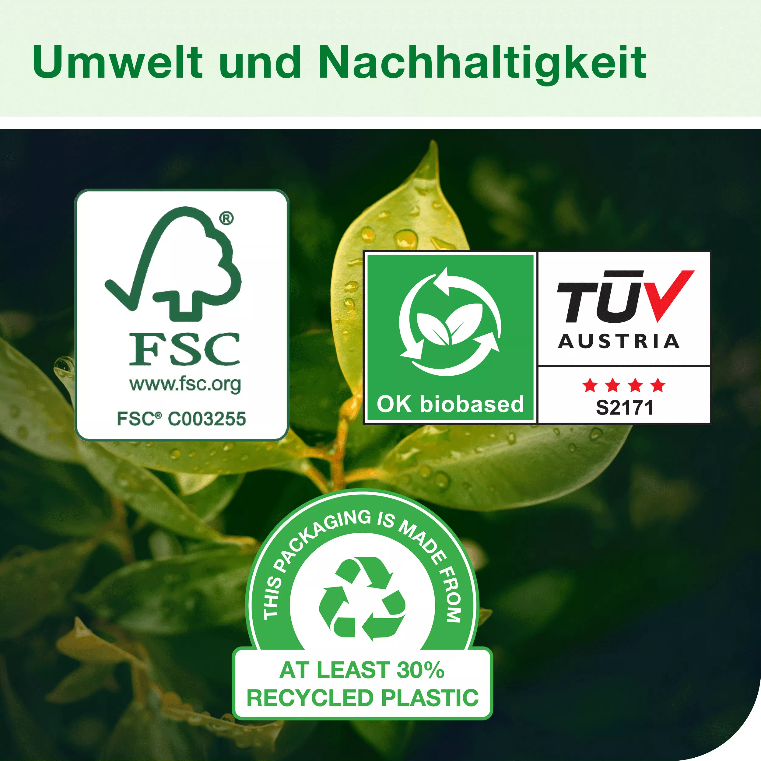 Tork Extra-Starke Biobasierte Reinigungstücher Weiß W4, 8 × 50 Tücher, 99 % biobasiert, 930150
