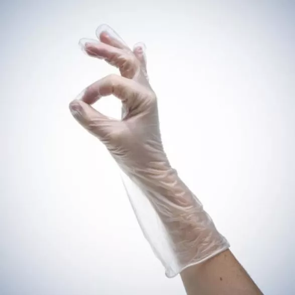 Ampri Eco Plus Einmalhandschuhe Vinyl puderfrei - Größe L